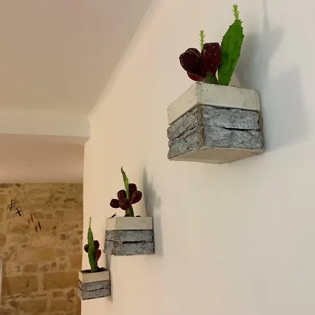 Holiday home Loft Albicocca Bari